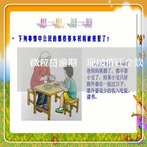 微粒贷逾期 现被催还全款 微粒贷逾期 现被催还全款